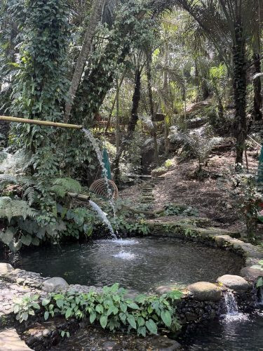 BAMBU INDAH, UBUD196