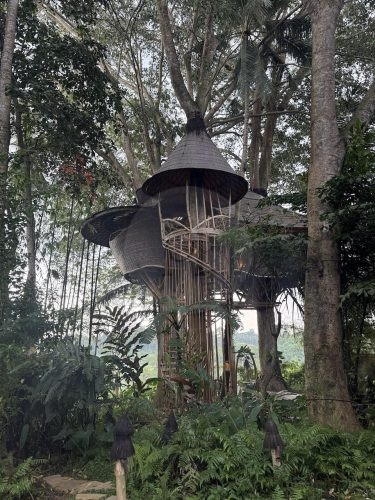 BAMBU INDAH, UBUD217