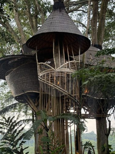 BAMBU INDAH, UBUD218