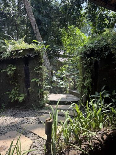 BAMBU INDAH, UBUD96