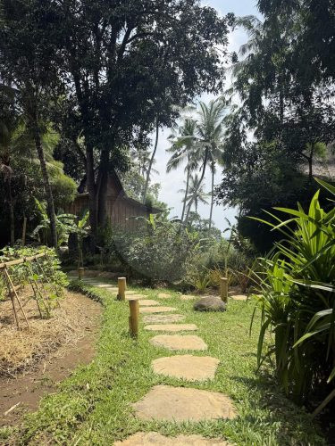 garden established