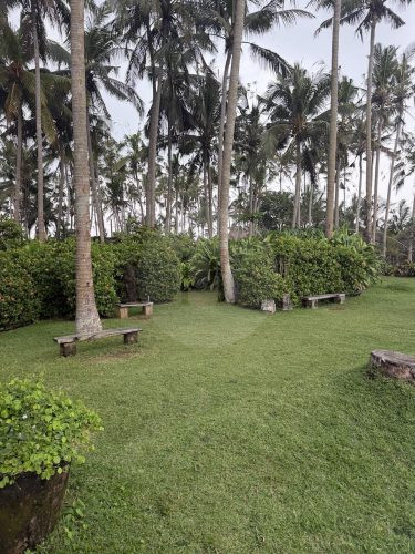 garden established