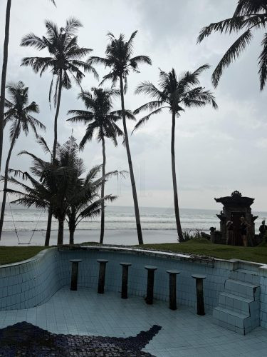 COCONUT GROVE18