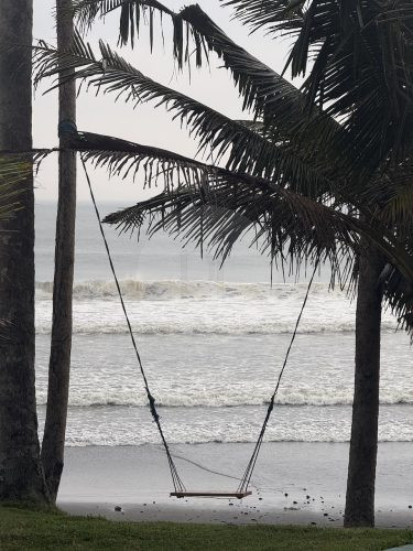 COCONUT GROVE21