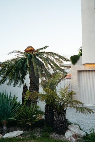 Casa Amara, Palm Beach-6