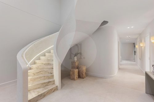 Ivory Ascent, Castlecrag-12