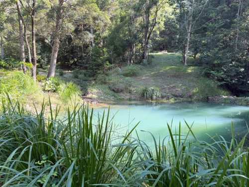 garden established pool