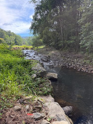 Rawhide Ranch, Currumbin Valley-14