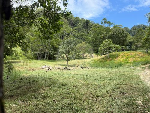 Rawhide Ranch, Currumbin Valley-15