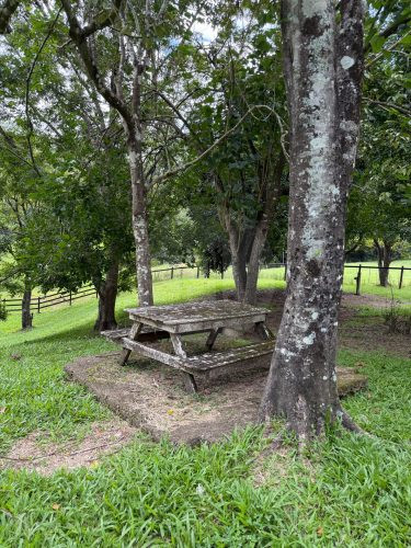 Rawhide Ranch, Currumbin Valley-16