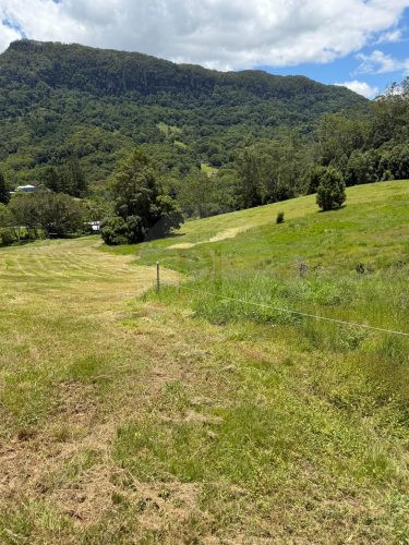 Rawhide Ranch, Currumbin Valley-19