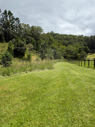 Rawhide Ranch, Currumbin Valley-20