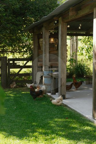 Rawhide Ranch, Currumbin Valley-21