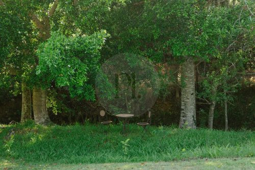 Rawhide Ranch, Currumbin Valley-22
