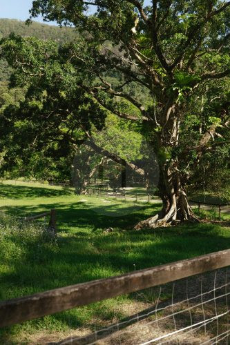 Rawhide Ranch, Currumbin Valley-23