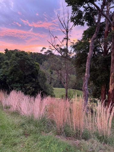 Rawhide Ranch, Currumbin Valley-31