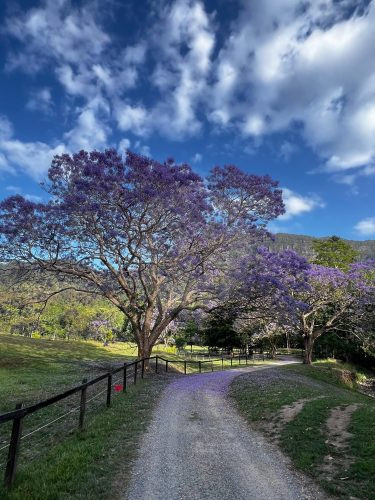 Rawhide Ranch, Currumbin Valley-35