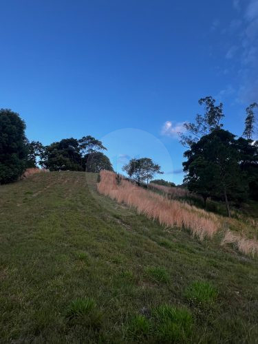 Rawhide Ranch, Currumbin Valley-36