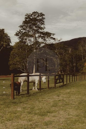 Rawhide Ranch, Currumbin Valley-9