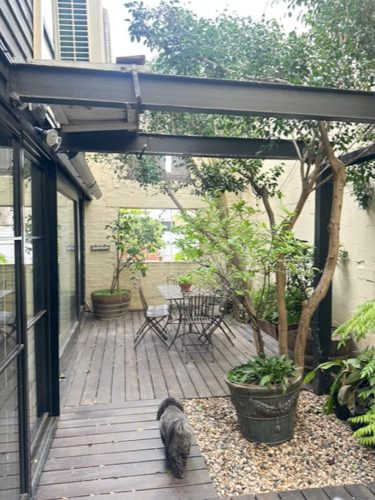 garden established pool