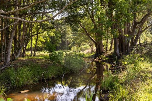 Saddlebrook, Newrybar-36