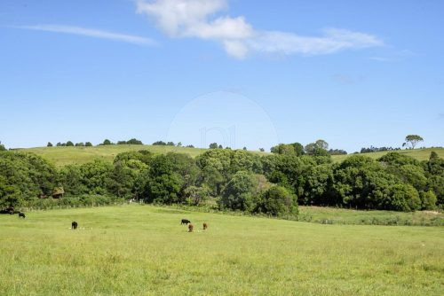 Saddlebrook, Newrybar-41