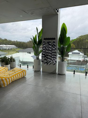 Sunset and Vine, Burleigh Heads-19