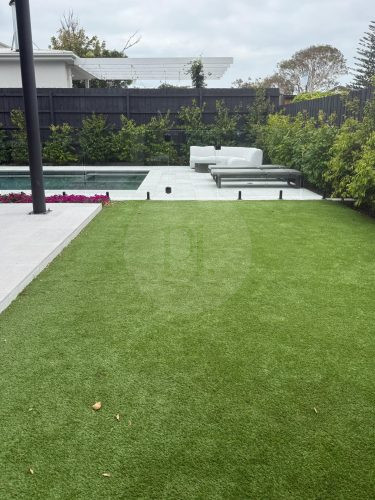 backyard garden established