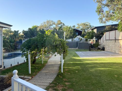 backyard garden established