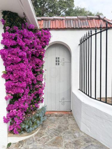 Villa Montclair, Woollahra -4