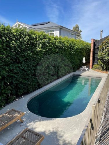 pool garden established