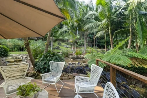 palm-shadow-house-lisarow_06