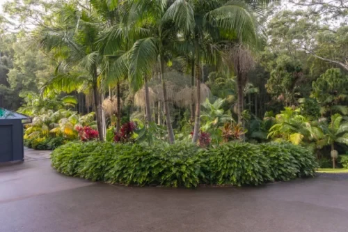 palm-shadow-house-lisarow_31
