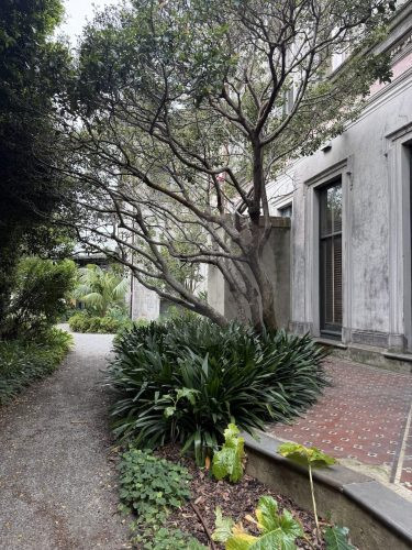 BILLING MANSION118