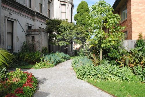 backyard garden established pool