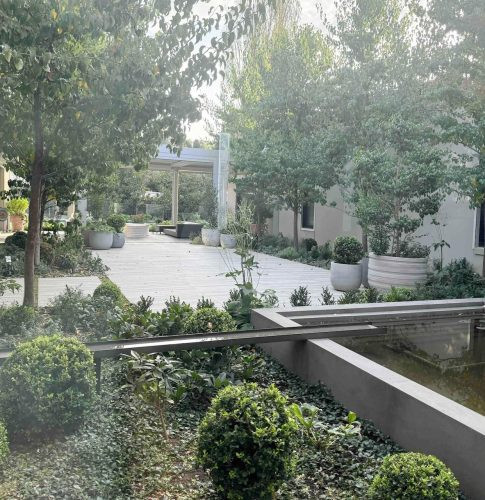 garden established backyard outdoor area