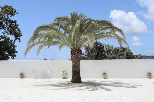 Marisol, Tweed Heads South-73