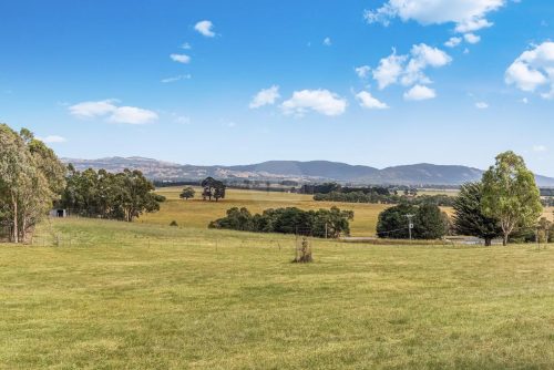 Orange Blossom, Kilmore 10