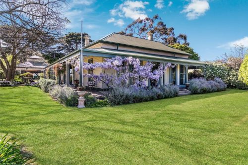 Orange Blossom, Kilmore 15