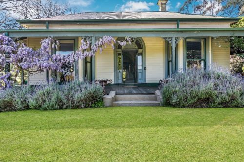 Orange Blossom, Kilmore 17