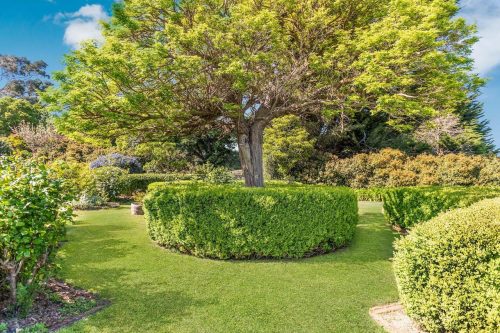 garden established