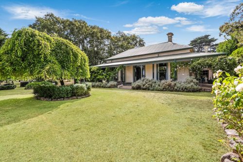 Orange Blossom, Kilmore 46