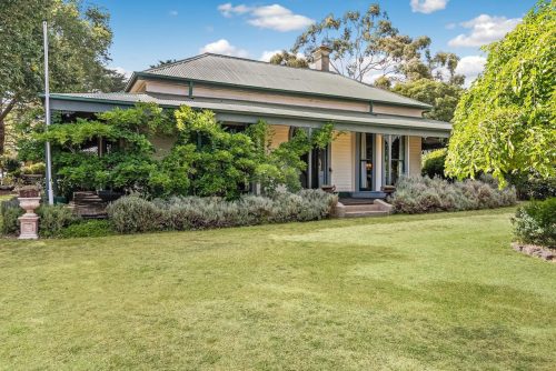 Orange Blossom, Kilmore 48