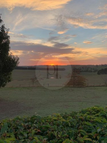 Orchard House, Birregurra-20