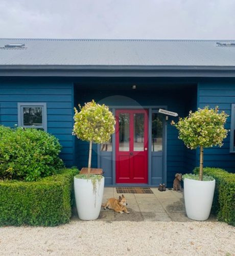 Orchard House, Birregurra-7