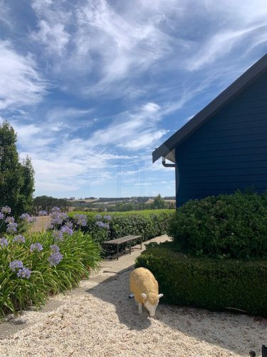 Orchard House, Birregurra-8