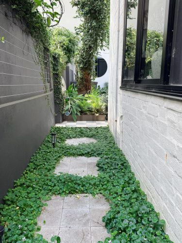Quiet Contrast, Paddington-27