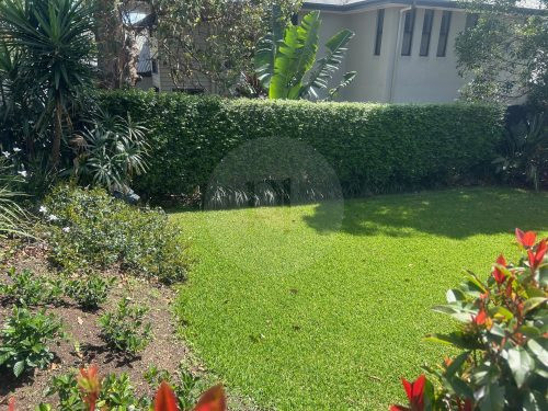 backyard pool