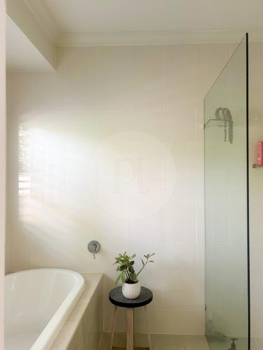 Canna, Gumdale-11