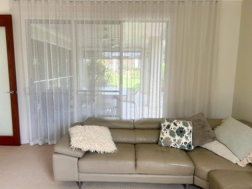 Canna, Gumdale-15